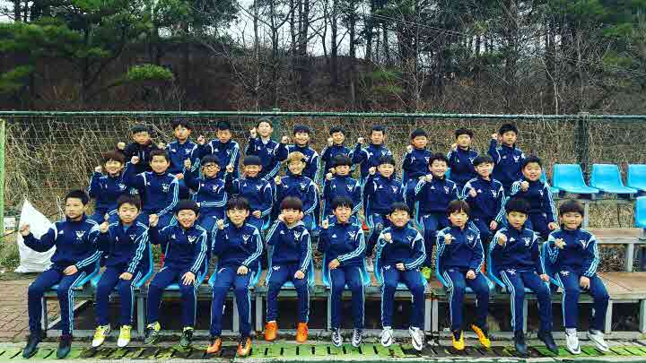 YS 주니어