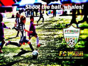 파주 웨일즈 FC