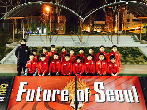 FC서울 와이즈야드