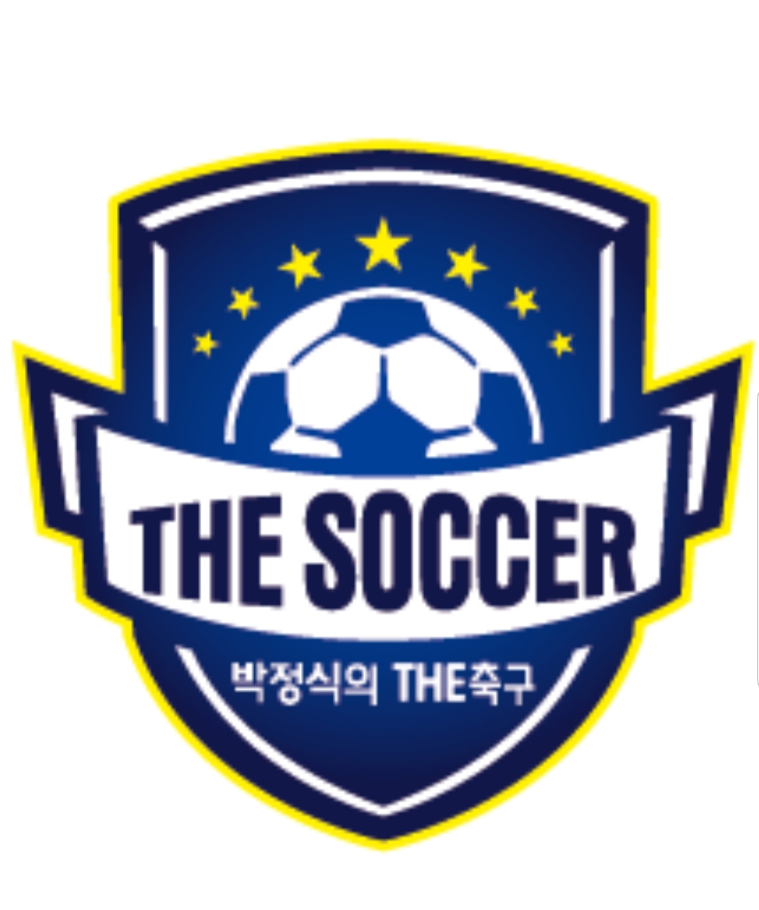 박정식의 THE 축구