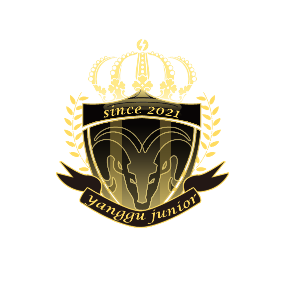 양구군유소년축구센터