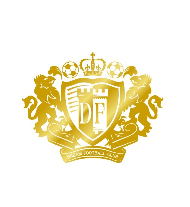 포항드림fc