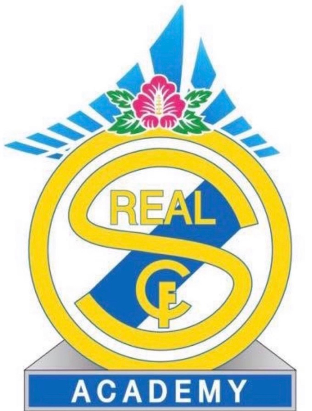 세종레알fc