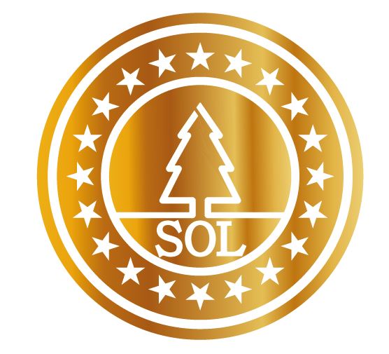 세종SOL FC