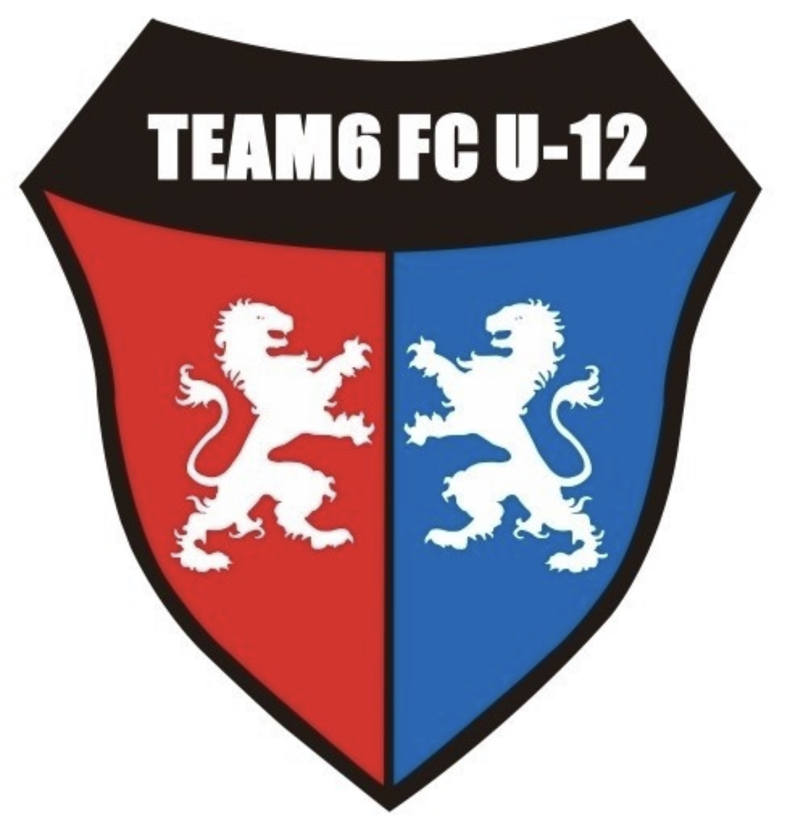 팀식스FC 시흥