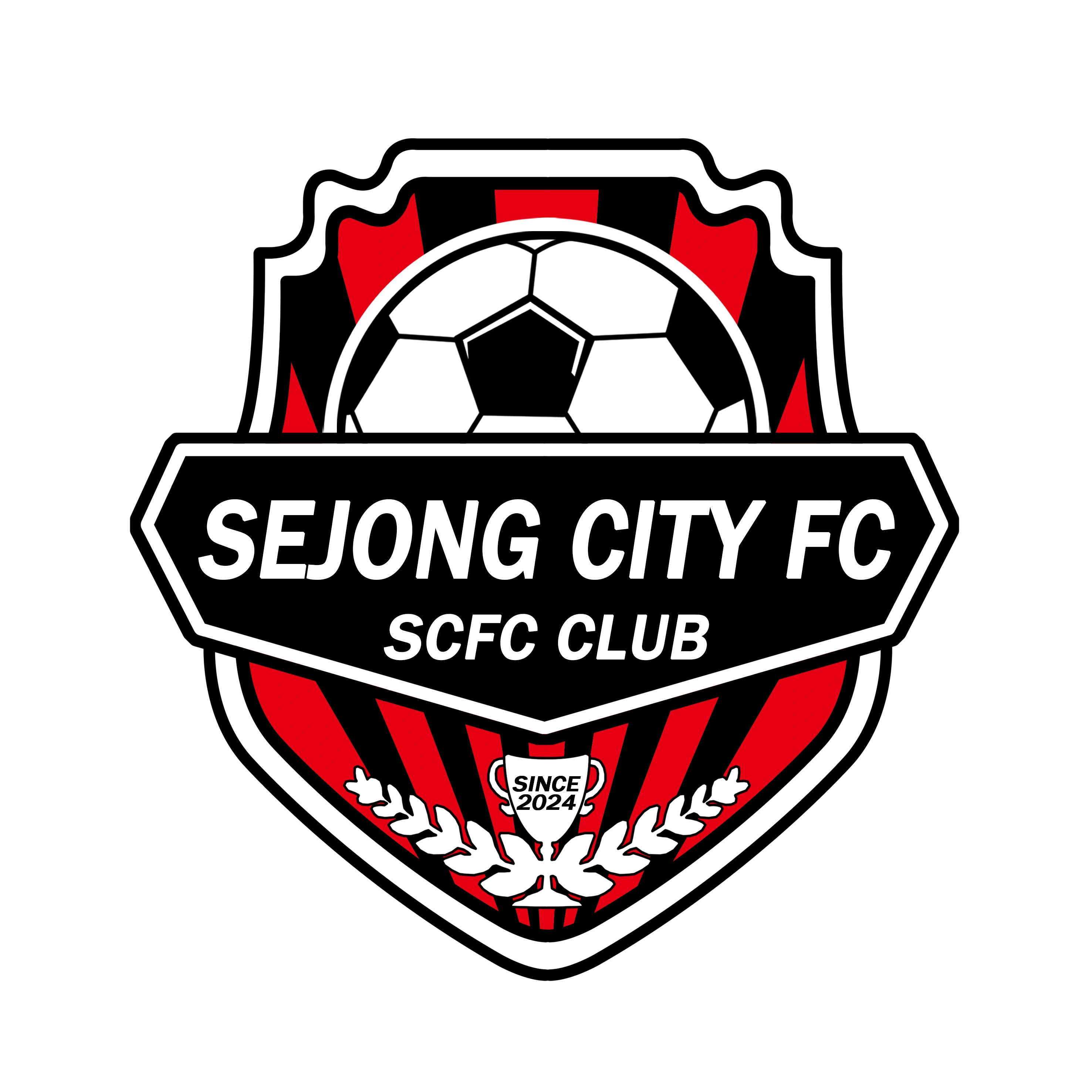 세종시티FC