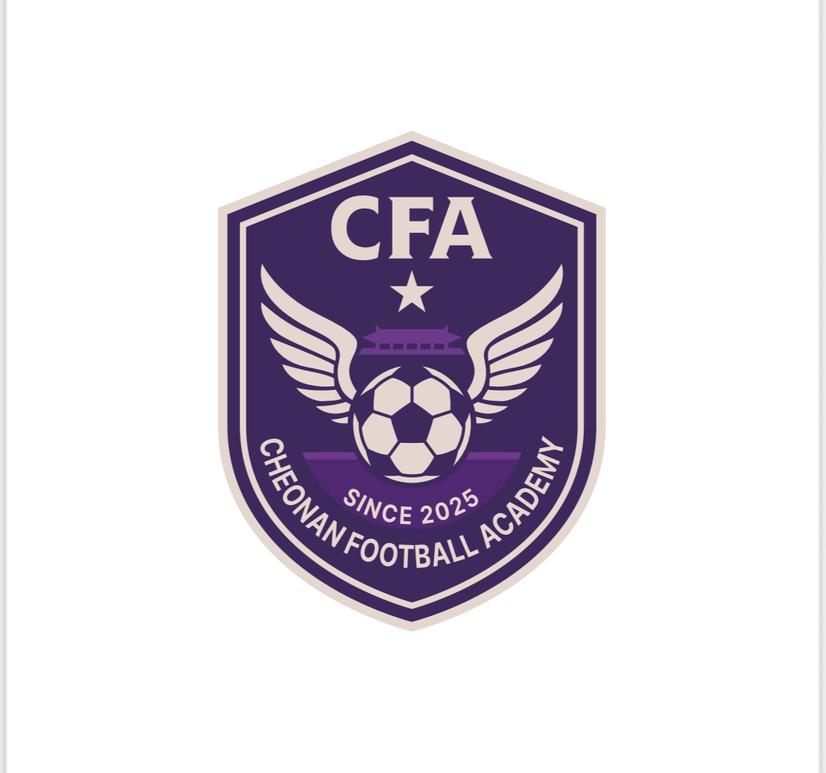 천안CFAFC