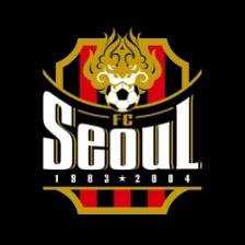 FC서울 구리