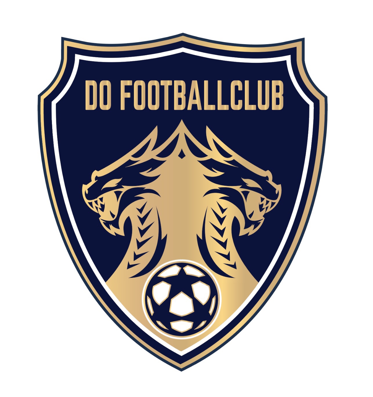대구 DOFC