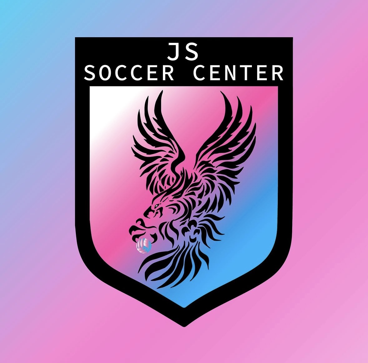 JS축구센터