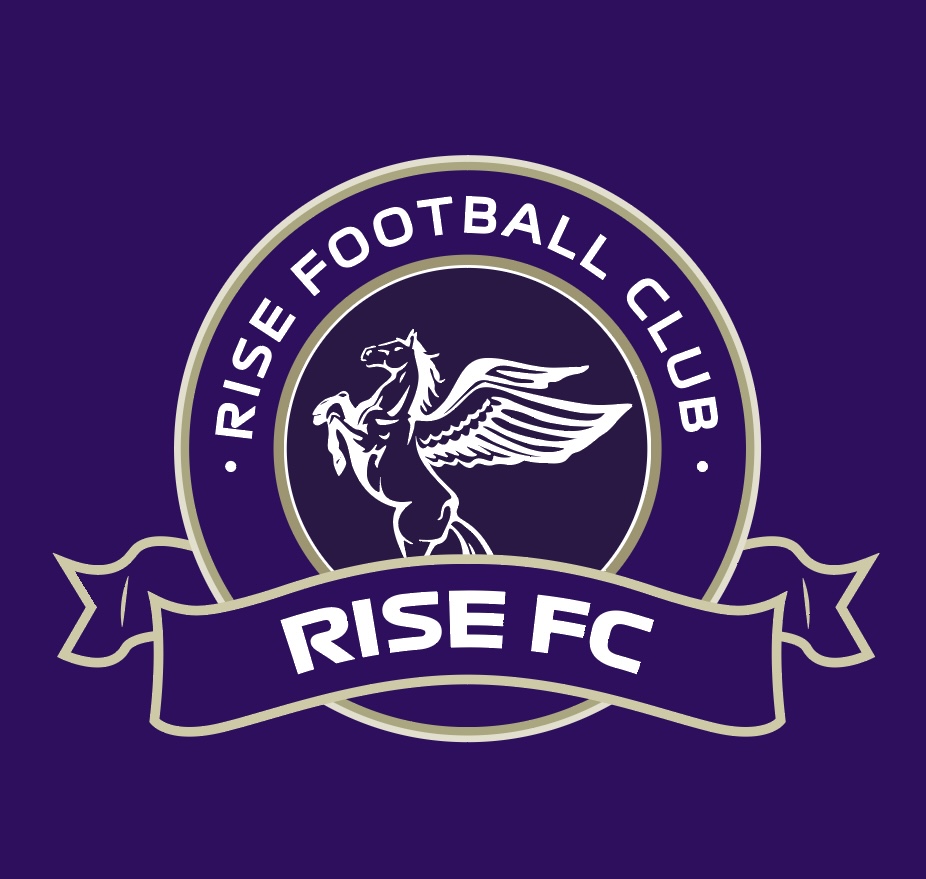 라이즈FC
