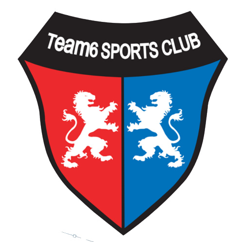 팀식스FC 수내